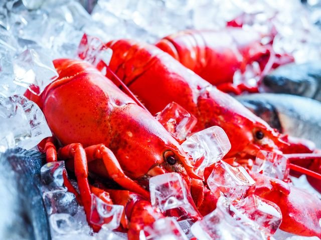 Chilled Whole Boiled Lobster