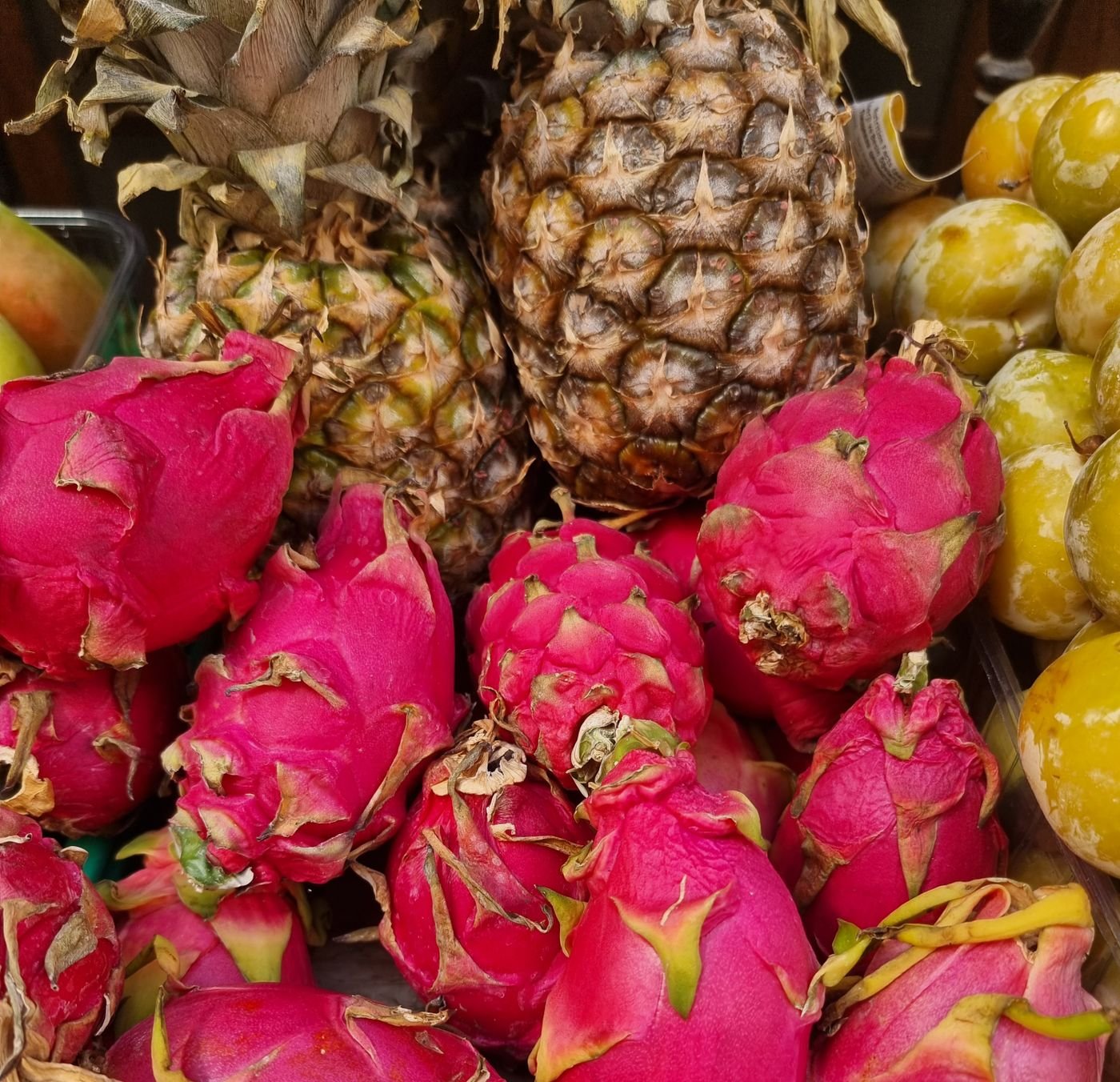 Dragon fruit and pineapples