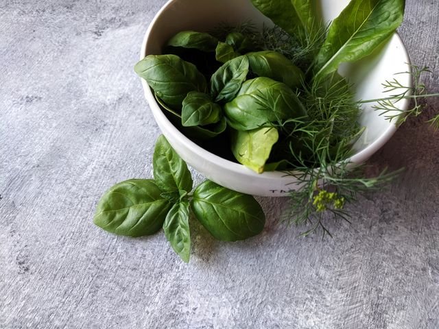 Fresh basil in a white bowl